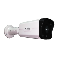 CVS-IPView DV