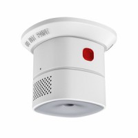Carbon Monoxide Alarm HS1CA series